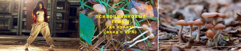 Галлюциногенные грибы Magic Shrooms  где найти   Нытва 